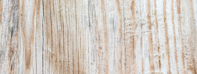 Texture of bark wood use as natural background