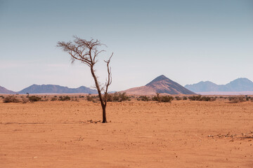 Fototapeta na wymiar Namib desert landscape