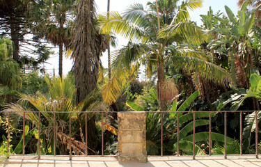 Botanical  Garden of the University  of Coimbra