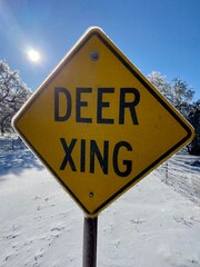frozen sign on blue sky Texas hill country Fredericksburg