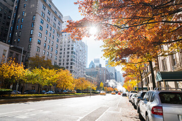 Uptown Manhattan Park Avenue traffic goes through under rising stem among the rows of autumn leaf color trees at New York City NY USA.