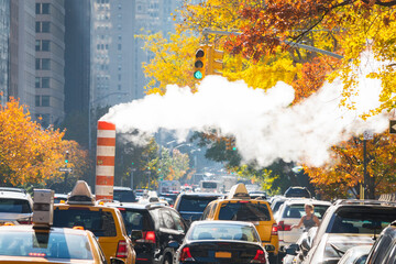 Uptown Manhattan Park Avenue traffic goes through under rising stem among the rows of autumn leaf...