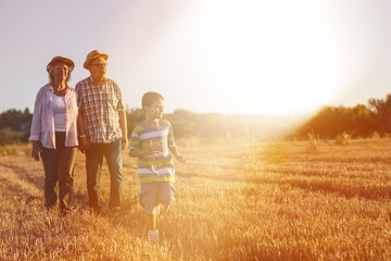 Grandparents wolking with they grandson.They playing on meadow and joying in summer  sunset.	

