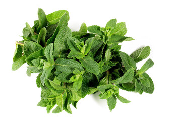 Fresh Mint on white Background Isolated