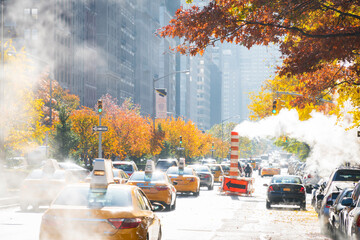 Uptown Manhattan Park Avenue traffic goes through under rising stem among the rows of autumn leaf...