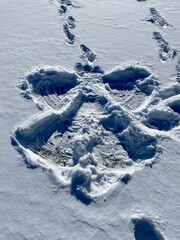 snow angel Texas hill country Fredericksburg