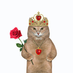 A beige cat in a gold diadem and a ruby heart shaped pendant holds a red rose. White background. Isolated. © iridi66