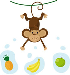 Fototapeta premium Vector illustration of a cute cartoon monkey with banana, apple and pineapple