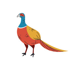 Pheasant bird isolated vector illustration. Phasianus Versicolor design element. Japan wildlife, hunting bird in cartoon style. 