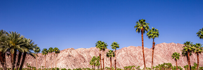 san jacinto mountain, palm springs, california © photogolfer