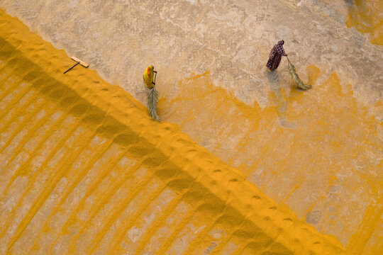 Aerial view of two farmers working in a field drying rice on a rice field near Sariakandi, Rajshahi province, Bangladesh.