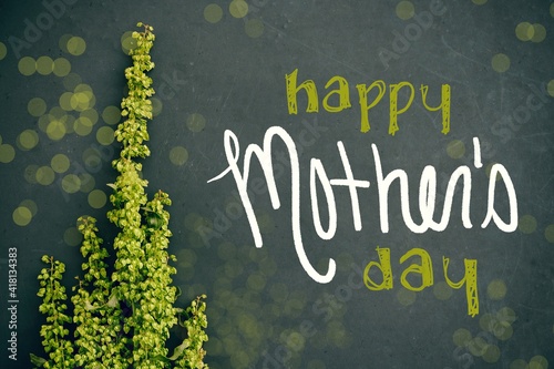 Happy Mother's Day background with green floral on chalkboard for holiday card greeting.