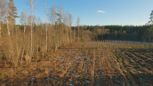 Aerial footage flying over beautiful glade and forest road on a cold sunny day, drone footage.