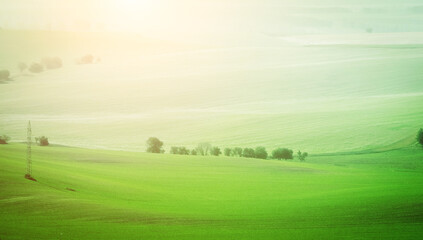 Beautiful moravian fields with green grass