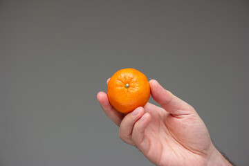 Single of fresh raw mandarin clementine held in hand by Caucasian male isolated on gray background studio shot
