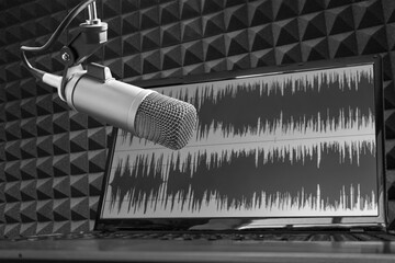 Professional microphone and laptop