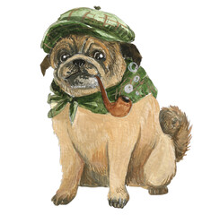 French bulldog. Pet, cute pug, art watercolor on white background Illustration animals  handmade with bright watercolors. Print on a t-shirt or as a picture on the wall.