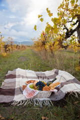 Obraz na płótnie Canvas Checkered plaid in the vineyards Picnic overlooking the mountains in autumn