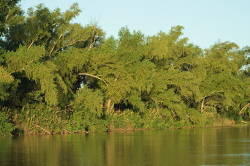 Río
