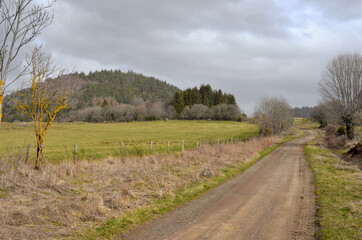 Fototapeta premium Puy de Pourcharet. GR 30. Puy de Dôme, Auvergne. France.