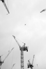 Czarno-białe centralne ujęcie samolotu na tle szarego nieba z sylwetkami dźwigów  