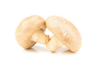 Fresh Shiitake mushrooms