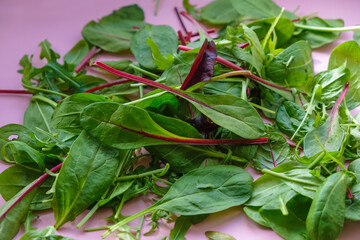 Fresh salad with mixed greens arugula, mesclun, mache, beet greens on the pink. Healthy food.
