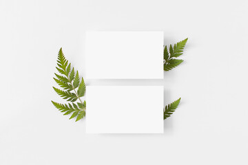 Paper rectangle frame mockup above fern green leaves, grass flat lay on white background top view. Minimalism composition in neutral tones. Empty blank template with copy space. Ecology, forest