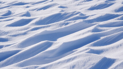 The background is a snowy shiny surface in the shape of waves. Part of the image is blurred.