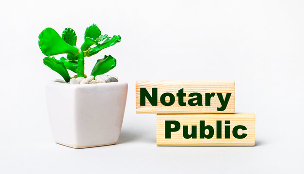 On a light background, a plant in a pot and two wooden blocks with the text NOTARY PUBLIC