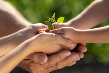 Child holding young green plant in hands