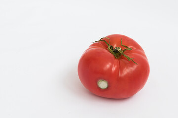 A large red tomato on a white background. The vegetable has signs of rotting. A tomato with mold