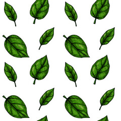 Hand drawn green leaves seamless pattern. Vector illustration