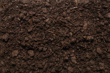 Black land for plant background.