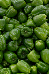 Fototapeta na wymiar A bunch of juicy green bell peppers. Healthy food and vitamins. Vertical.