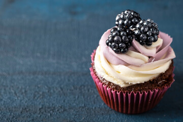 Delicious cupcake with blackberry. Space for text