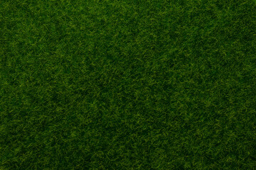 Green lawn background. Green grass.