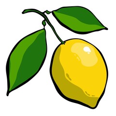 Drawn lemon on a branch with leaves. Fruit on a white background. Vector illustration.