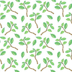 Branch of tree with green leaves in seamless pattern on white background. Watercolor hand drawing illustration. Summer foliage wallpaper. Perfect for digital paper.