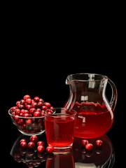 Berries of cranberry and cranberry berry juice in glassware
