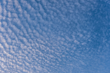 Quilted clouds in the sky