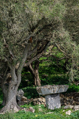 Torrellafuda, Taula shrine-enclosure,  Talayotic town, Ciutadella, Menorca, Balearic Islands, Spain