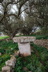 Torrellafuda, Taula shrine-enclosure,  Talayotic town, Ciutadella, Menorca, Balearic Islands, Spain