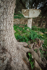 Torrellafuda, Taula shrine-enclosure,  Talayotic town, Ciutadella, Menorca, Balearic Islands, Spain