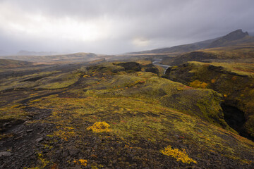 landscape in autumn