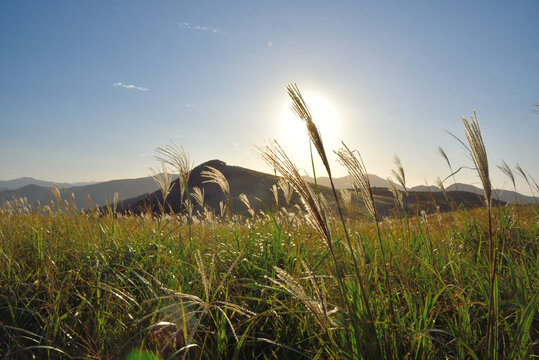 Hirado 画像 参照 157 Stock 写真、ベクターおよびビデオ Adobe Stock