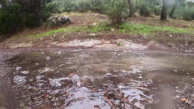 Wet Feet Runner Athlete Running On Trail Stones In Forest