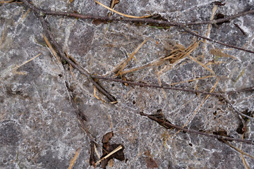 .on the frozen puddles in the spring there is a layer of water where