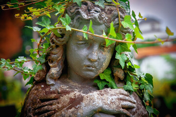 Close up sad angel in ivy. Fragment of an antique destroyed statue.