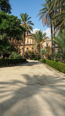 Obraz premium OLYMPUS DIGITAL CAMERA